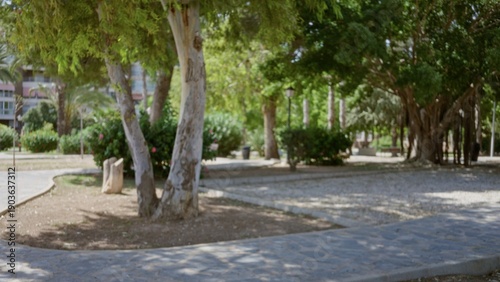 Billede på lærred Blurred park scene with soft shallow focus on trees, walkway and green foliage; background copyspace overlay calm