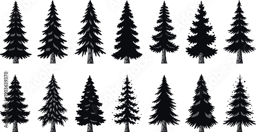 Black silhouette collection of evergreen pine and fir trees for forest, winter and nature landscape design isolated on white background