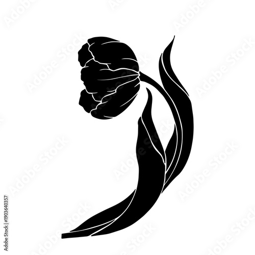 Botanical silhouette of a spring tulip flower. Vector graphics.