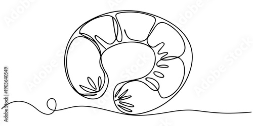 Hand drawn sausage spiral isolated on white background. Sketch style grilled sausage ring. Engraving vector illustration of snail sausage, Smoked sausage ring line drawing, sausage rings continuous.