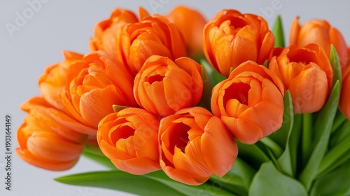 A bouquet of orange tulips with dew drops on them