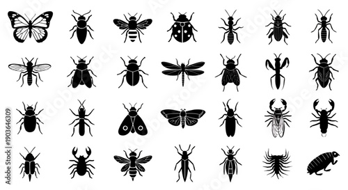Black Insect Silhouette Icon Set of 20 Vector Collection