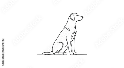 Sitting dog in one line art style looking up attentively