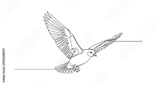 Bird taking flight with outstretched wings in dynamic motion