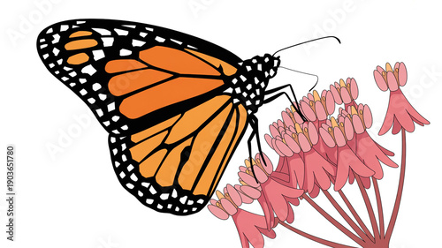 Vibrant monarch butterfly perched on delicate pink flowers in a garden setting