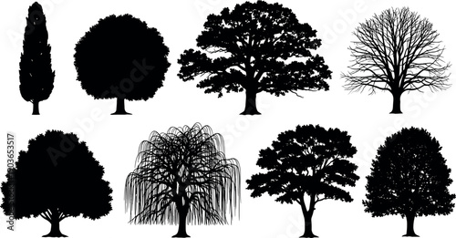 Tree silhouette set with deciduous, ornamental and leafless winter forms, black vector illustration isolated on white for landscape architecture, parks, maps and outdoor design