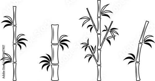 Vector illustration of bamboo plant silhouettes in artistic natural styles, showcasing stalks and leaves, botanical foliage design concept for nature, landscape, environment, ecology