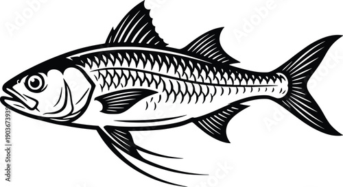 A detailed illustration of a tarpon fish, showcasing the beauty and complexity of aquatic life, perfect for art and design projects.