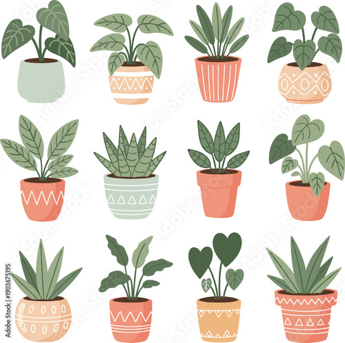 Modern houseplant collection with diverse foliage and decorative patterned ceramic pots for interior design and lifestyle,