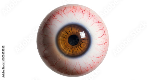 Human eye with bloodshot sclera and brown iris, isolated on white or transparent background. PNG
