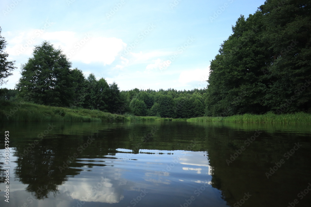 Fototapeta premium Calm forest river with reflections on water surface in summer