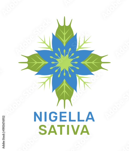 Black seeds - nigella sativa flower, fetus icon in flat colors