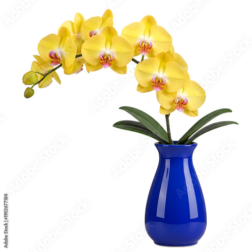 Stunning yellow orchid flowers in a vibrant blue vase