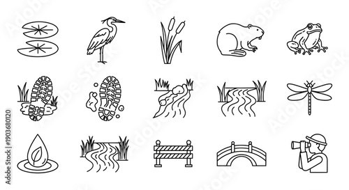 Set of outline icons representing various elements of a swamp or wetland ecosystem, including animals, plants, and natural features.