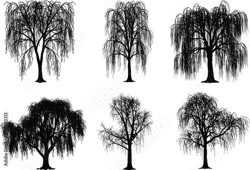  collection of six silhouette-style  of weeping willow trees, each showcasing unique characteristics in their branch and foliage 