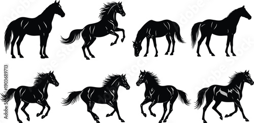 WebVector illustration of horse silhouettes in dynamic and static poses including standing, grazing, trotting, galloping and rearing, equine motion design concept for wildlife