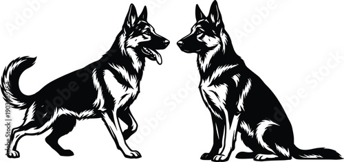 Black and white vector illustration of two German Shepherd dogs in standing and sitting poses isolated on a white background