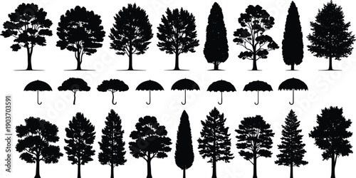 WebVector illustration of tree and umbrella silhouettes in artistic arrangement, comparing natural canopy forms with man-made designs for landscape, 