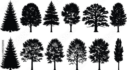 WebDeciduous and Coniferous Tree Silhouette Collection Featuring Pine, Spruce, and Oak Varieties for Nature Landscapes, Environmental Conservation Graphics, Forestry Design