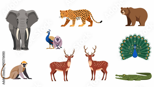 A diverse collection of wildlife illustrations featuring various animals in a natural setting