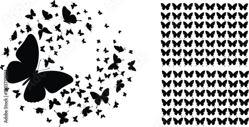 Butterfly silhouette collection, flying insects pattern set, nature decorative design, black vector illustration, swarm composition and repeat icons isolated on white background