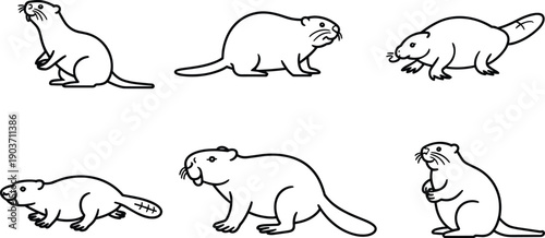 Beaver animal illustration set, cute rodent wildlife outline collection isolated, nature mammal character icons for ecology design projects