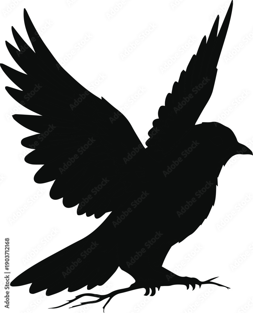 Fototapeta premium Adobe Illustrator Artwork