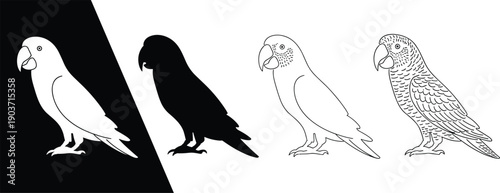 Parrot illustration set, exotic bird silhouettes and line art collection isolated, tropical avian wildlife design for nature education concept