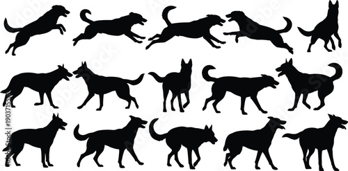 Wild animal vector silhouettes collection of horse dog tiger deer bear cow cat running wildlife icons
