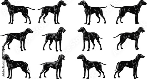 A black vector collection of horse silhouettes showing running and standing horses in a simple wildlife style