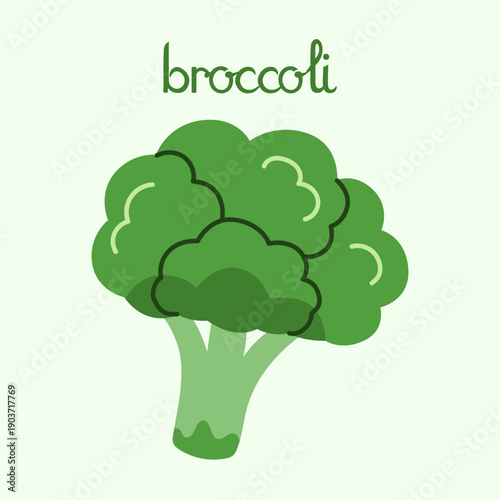 Broccoli vegetable in flat style.