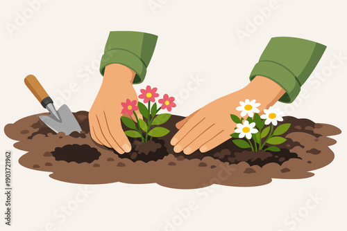 Hands planting colorful flowers in garden soil, nurturing new growth during spring
