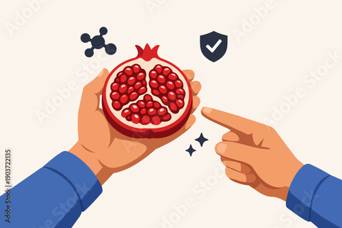 Hands holding and pointing at pomegranate, representing health and nutrition benefits