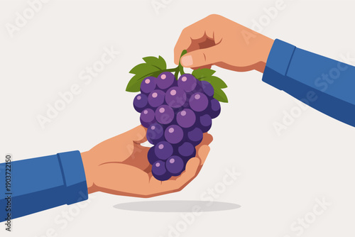 Hands sharing a bunch of fresh purple grapes, exchange of healthy fruit