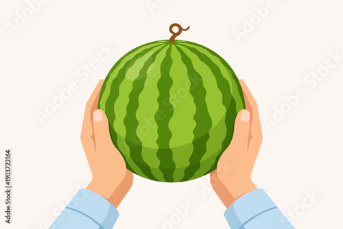 Hands holding a fresh whole watermelon, bringing summer fruit harvest food