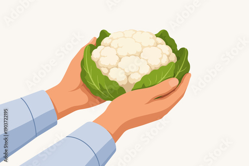 Hands holding fresh cauliflower, promoting healthy organic food and nutrition