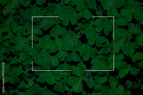 Abstrakter leere Weisser Rahmen in Blattwerk