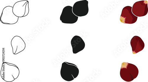 Collection of peanut icons representing whole nuts in outline solid black and realistic color variations for food and agriculture concepts isolated on white