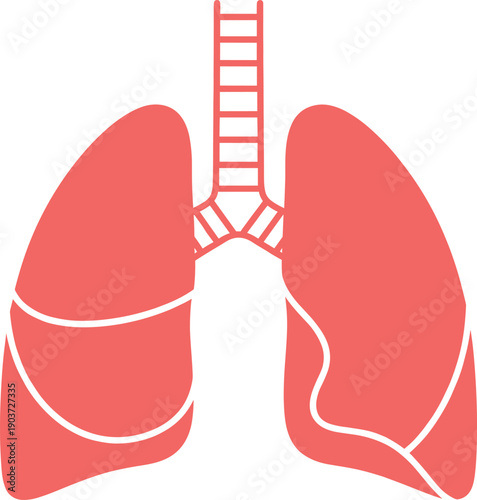 Flat vector illustration of human lungs anatomy and trachea for respiratory health symbols, medical icons, and biological science education designs
