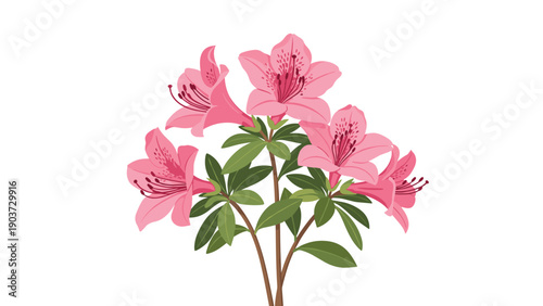 Cluster of beautiful pink azalea flowers with green leaves is shown in a soft vector illustration, representing spring bloom and floral elegance.