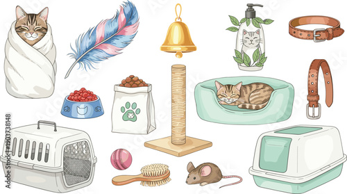 A kitten in a blanket, a sleeping cat in a bed, cat food, litter box, carrier, scratching post, collar, grooming brush, and toys.