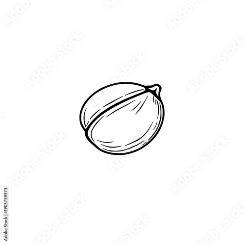 Minimalist Black Line Art Illustration of a Single Buckeye Nut on a Clean White Background, Ideal for Nature and Botanical Designs