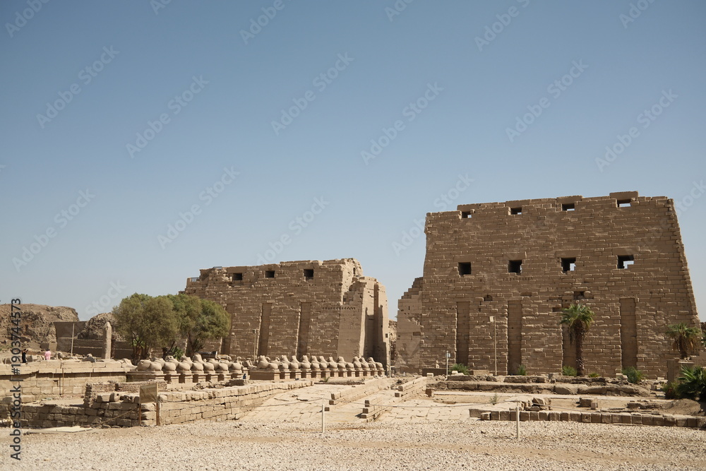 Obraz premium Travel to Ancient world of egypt