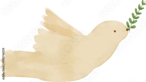 Watercolor Dove Illustration Peace Bird Hand Painted
