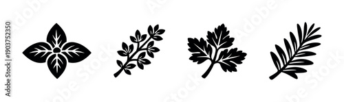 Herbs and leaves silhouettes collection, flat vector illustration