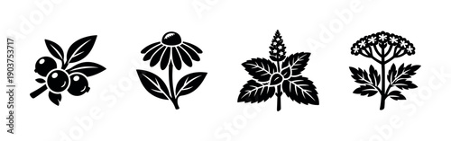 Herbs and wildflowers silhouettes, flat vector illustration