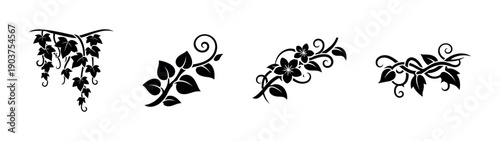 Set of floral decorative vines and leaves, flat vector illustration