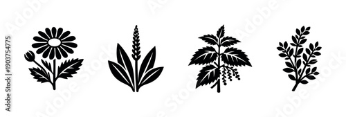 Herbs and flowers silhouette collection, flat vector illustration