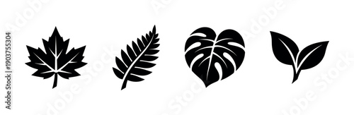 Silhouette of various leaves in a row, flat vector illustration