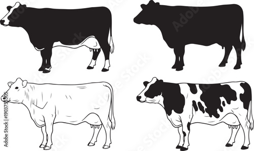 Four Different Cow Illustrations in Black and White cows cattle